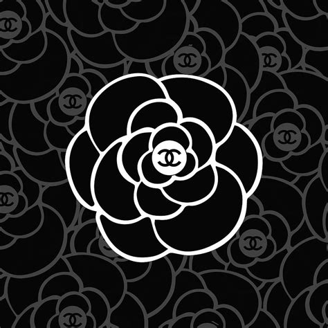 chanel camellia wallpaper.